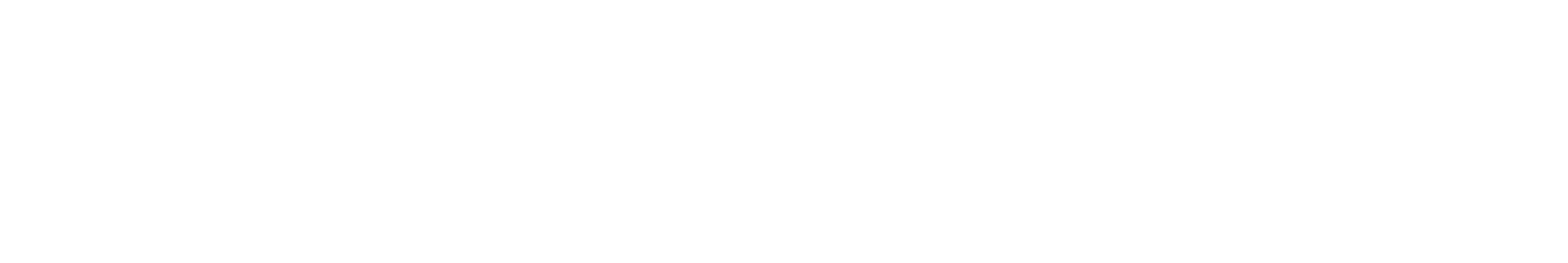 Dynamis
